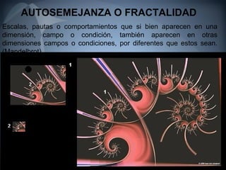 2. pensamiento complejo