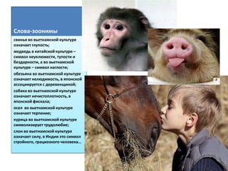 Слова-зоонимы
свинья во вьетнамской культуре
означает глупость;
медведь в китайской культуре –
символ неуклюжести, тупости и
бездарности, а во вьетнамской
культуре – символ наглости;
обезьяна во вьетнамской культуре
означает нелюдимость, в японской
ассоциируется с деревенщиной;
собака во вьетнамской культуре
означает нечистоплотность, в
японской фискала;
осел во вьетнамской культуре
означает терпение;
курица во вьетнамской культуре
символизирует трудолюбие;
слон во вьетнамской культуре
означает силу, в Индии это символ
стройного, грациозного человека…
 