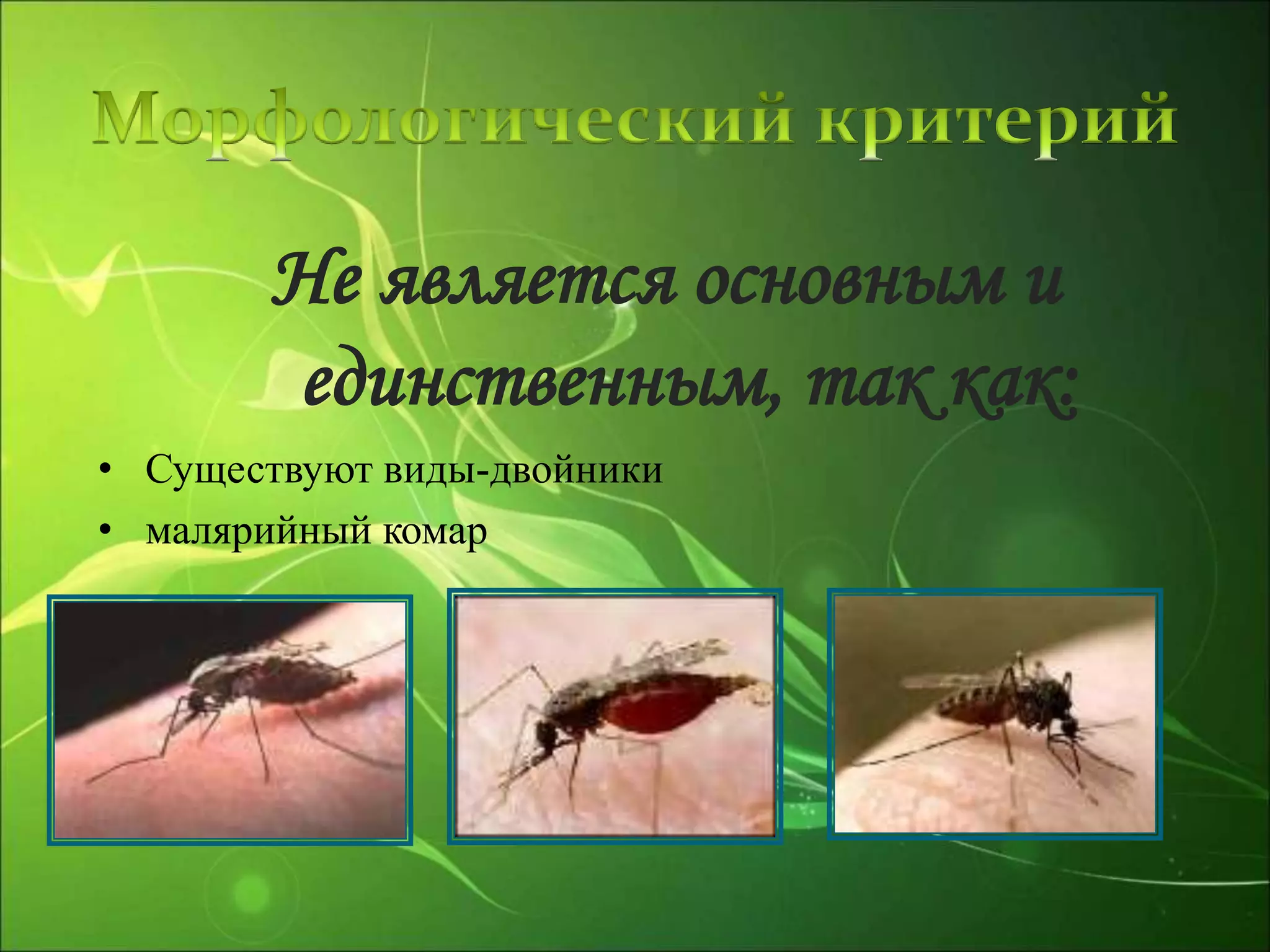 Не является основным и
единственным, так как:
• Существуют виды-двойники
• малярийный комар
 