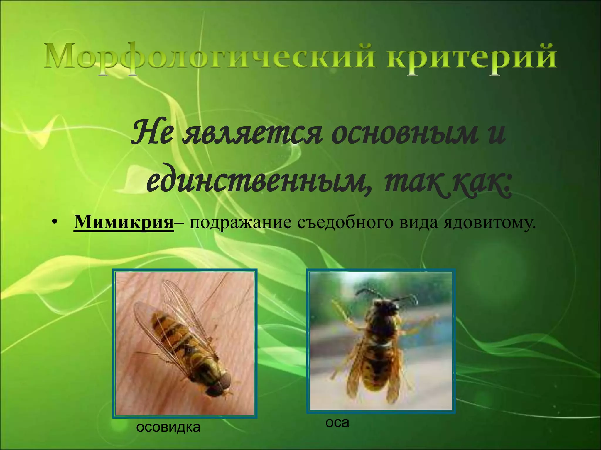 Не является основным и
единственным, так как:
• Мимикрия– подражание съедобного вида ядовитому.
осовидка оса
 