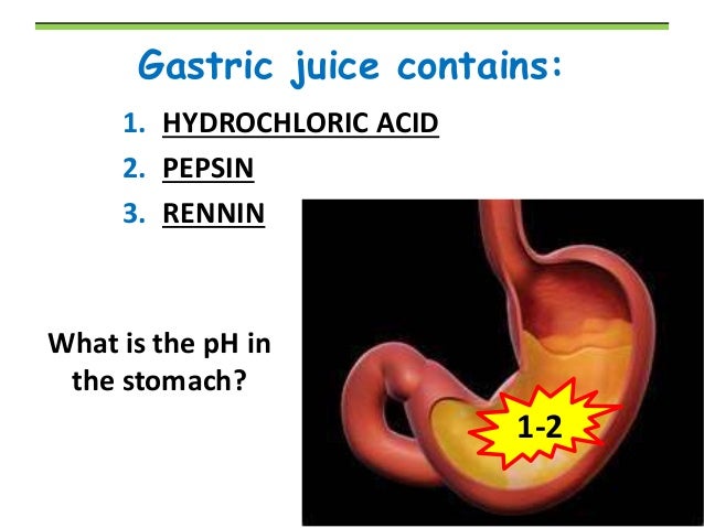 BIOLOGY FORM 4 CHAPTER 6 - NUTRITION PART 2