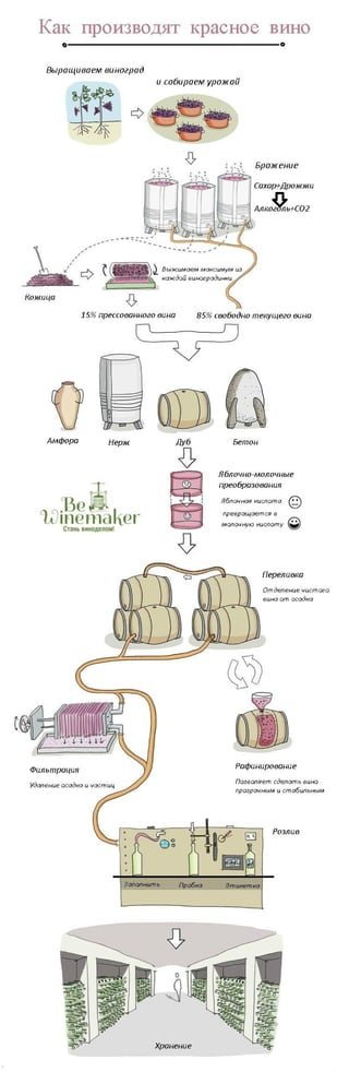 Как делают красное вино