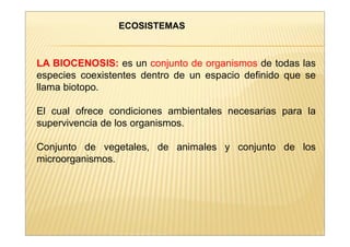 ECOSISTEMAS 
LA BIOCENOSIS: es un conjunto de organismos de todas las 
especies coexistentes dentro de un espacio definido que se 
llama biotopo. 
El cual ofrece condiciones ambientales necesarias para la 
supervivencia de los organismos. 
Conjunto de vegetales, de animales y conjunto de los 
microorganismos. 
 