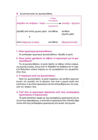 βιολογια κεφαλαιο 2 α' γυμνασιου