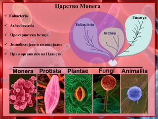 Царство Monera 
 Eubacteria 
 Arheobacteria 
 Прокариотска ћелија 
 Једноћелијске и колонијалне 
 Први организми на Планети 
 