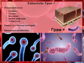 2. Bakterije i cijanobakterije