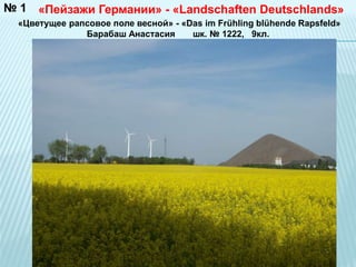«Пейзажи Германии» - «Landschaften Deutschlands» 
«Цветущее рапсовое поле весной» - «Das im Frühling blühende Rapsfeld» 
Барабаш Анастасия шк. № 1222, 9кл. 
№ 1 
 