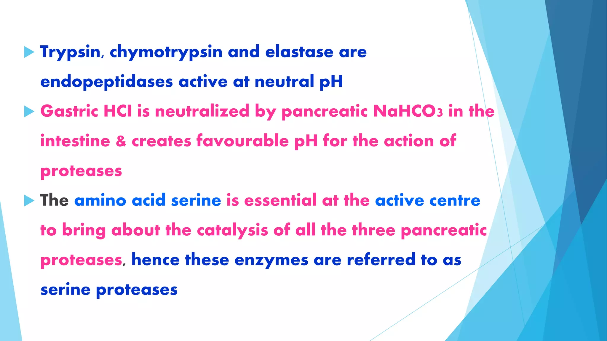  Trypsin, chymotrypsin and elastase are 
endopeptidases active at neutral pH 
 Gastric HCI is neutralized by pancreatic NaHCO3 in the 
intestine & creates favourable pH for the action of 
proteases 
 The amino acid serine is essential at the active centre 
to bring about the catalysis of all the three pancreatic 
proteases, hence these enzymes are referred to as 
serine proteases 
 
