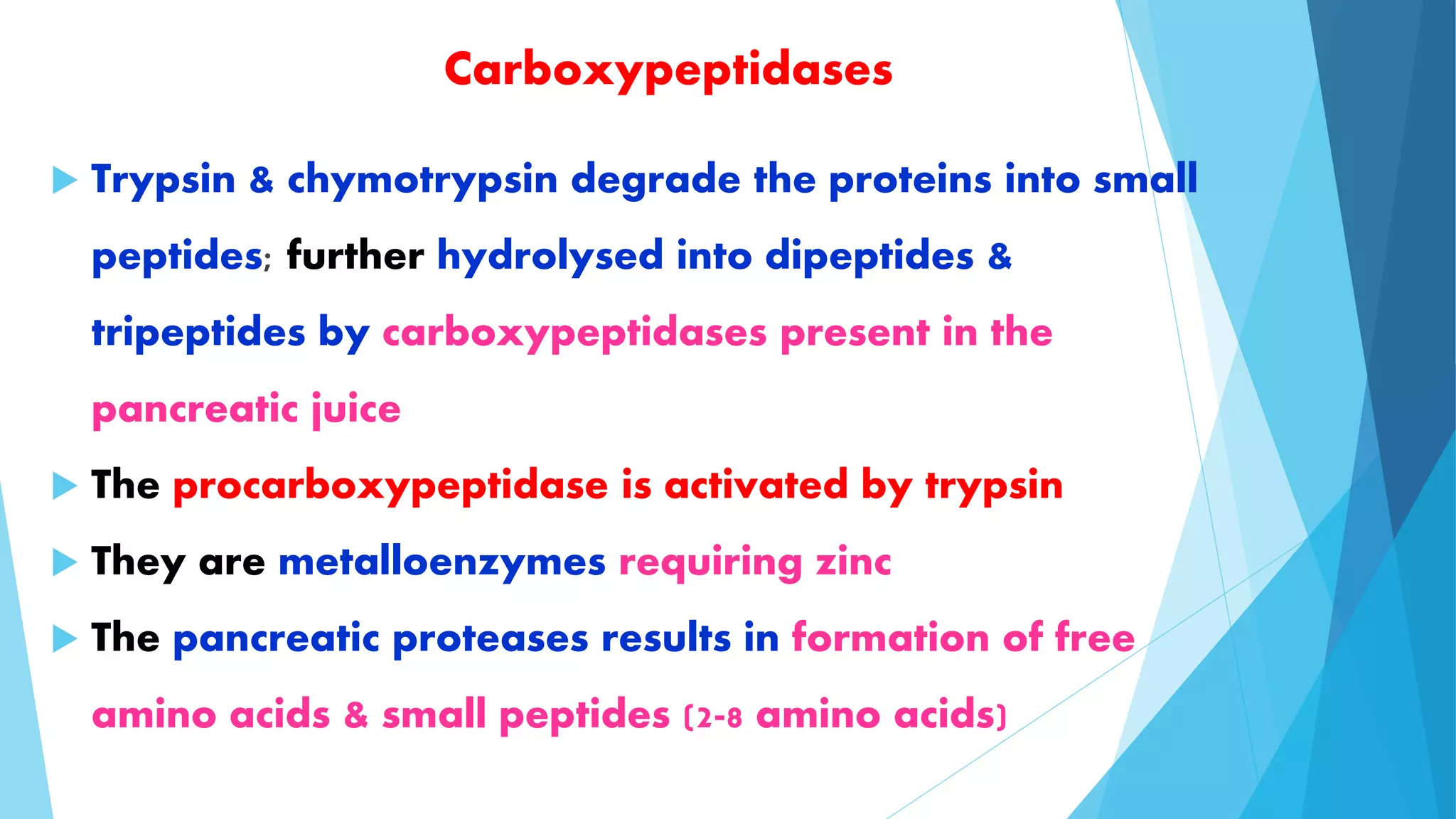 Carboxypeptidases 
 Trypsin & chymotrypsin degrade the proteins into small 
peptides; further hydrolysed into dipeptides & 
tripeptides by carboxypeptidases present in the 
pancreatic juice 
 The procarboxypeptidase is activated by trypsin 
 They are metalloenzymes requiring zinc 
 The pancreatic proteases results in formation of free 
amino acids & small peptides (2-8 amino acids) 
 