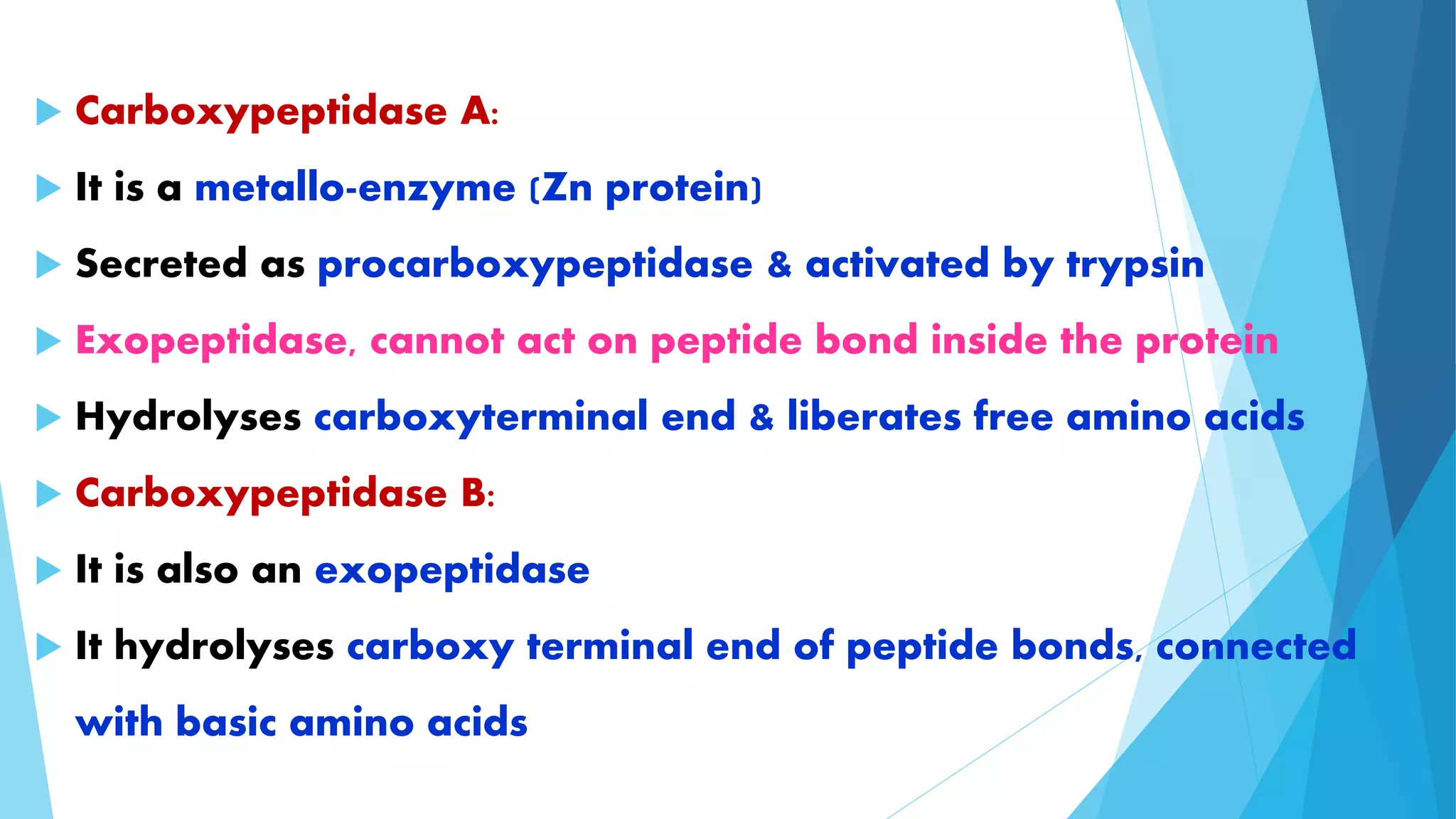  Carboxypeptidase A: 
 It is a metallo-enzyme (Zn protein) 
 Secreted as procarboxypeptidase & activated by trypsin 
 Exopeptidase, cannot act on peptide bond inside the protein 
 Hydrolyses carboxyterminal end & liberates free amino acids 
 Carboxypeptidase B: 
 It is also an exopeptidase 
 It hydrolyses carboxy terminal end of peptide bonds, connected 
with basic amino acids 
 