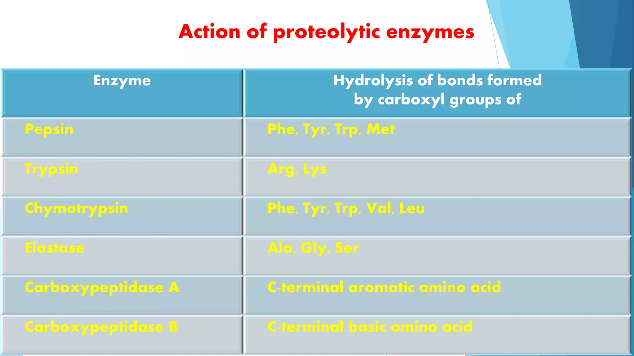 Action of proteolytic enzymes 
Enzyme Hydrolysis of bonds formed 
by carboxyl groups of 
Pepsin Phe, Tyr, Trp, Met 
Trypsin Arg, Lys 
Chymotrypsin Phe, Tyr, Trp, Val, Leu 
Elastase Ala, Gly, Ser 
Carboxypeptidase A C-terminal aromatic amino acid 
Carboxypeptidase B C-terminal basic amino acid 
 