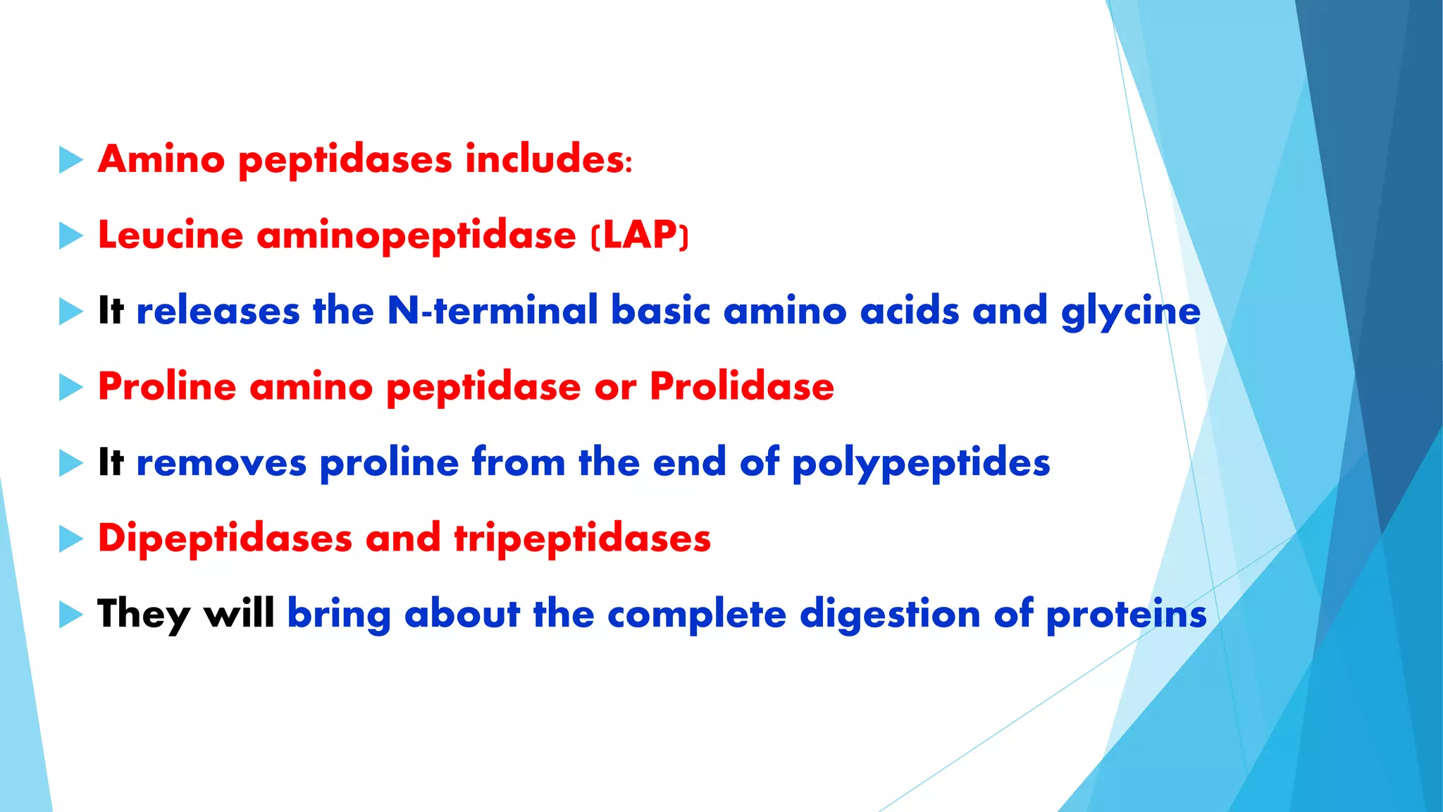  Amino peptidases includes: 
 Leucine aminopeptidase (LAP) 
 It releases the N-terminal basic amino acids and glycine 
 Proline amino peptidase or Prolidase 
 It removes proline from the end of polypeptides 
 Dipeptidases and tripeptidases 
 They will bring about the complete digestion of proteins 
 