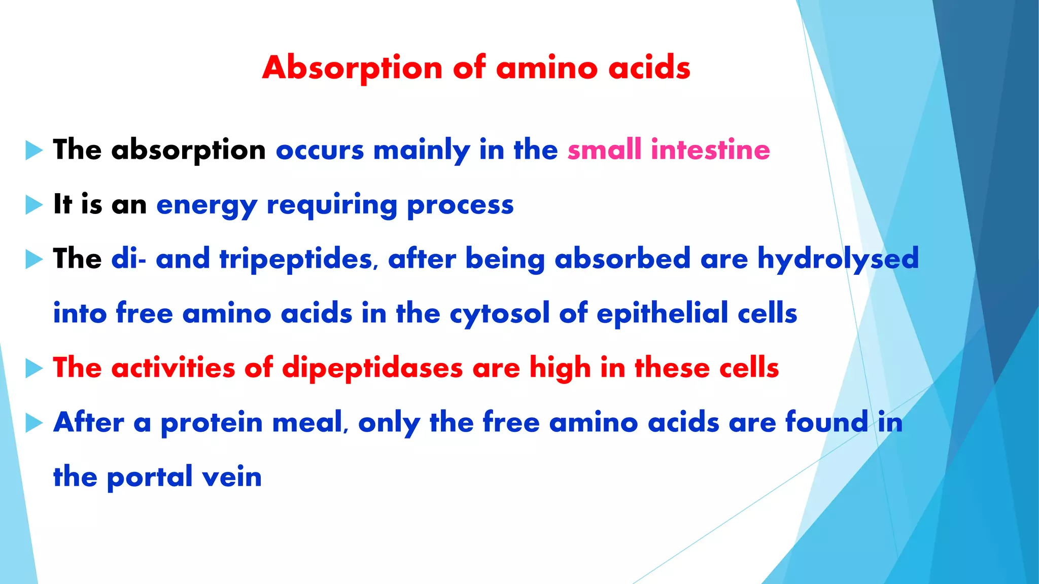 Absorption of amino acids 
 The absorption occurs mainly in the small intestine 
 It is an energy requiring process 
 The di- and tripeptides, after being absorbed are hydrolysed 
into free amino acids in the cytosol of epithelial cells 
 The activities of dipeptidases are high in these cells 
 After a protein meal, only the free amino acids are found in 
the portal vein 
 