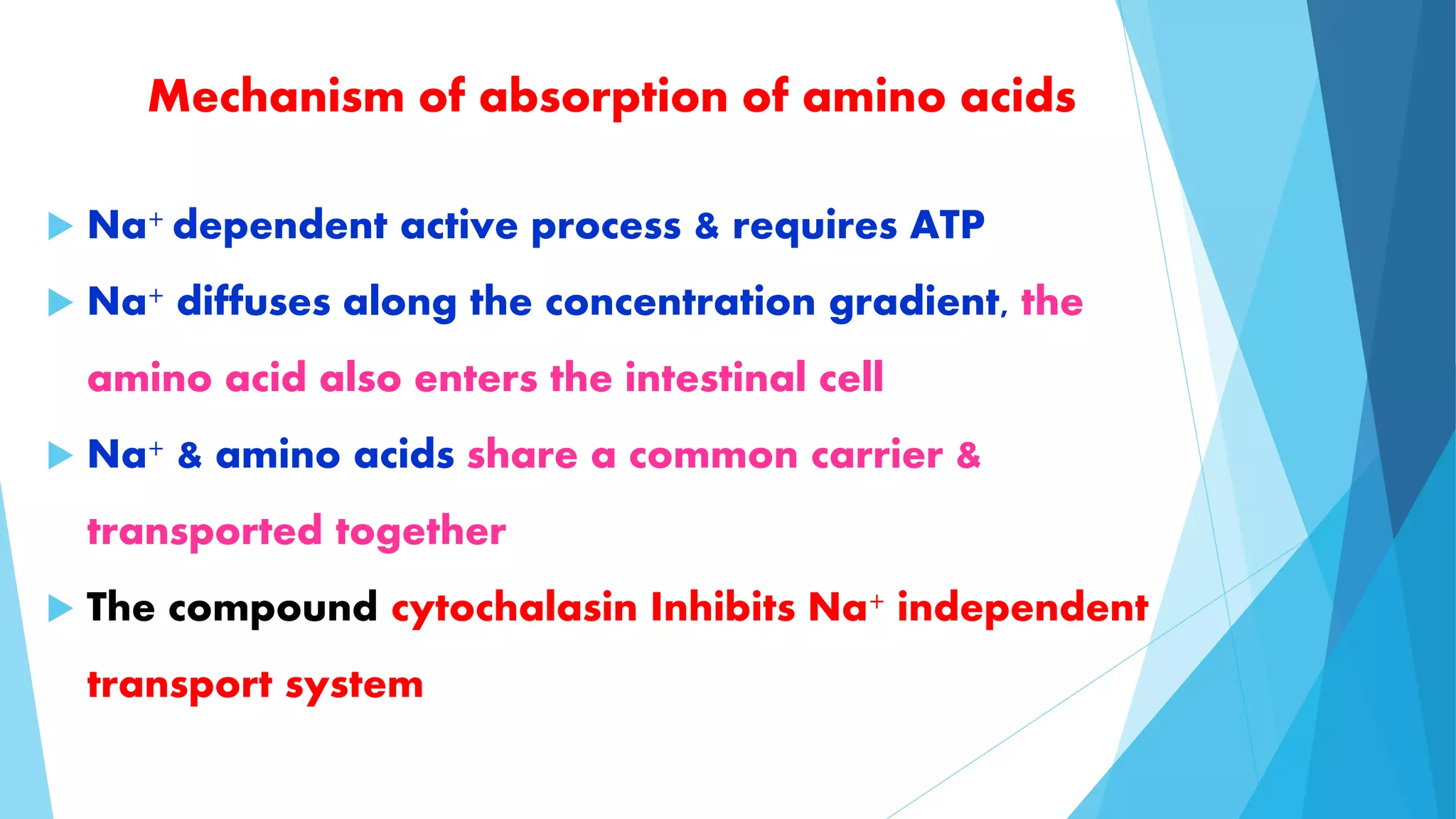 Mechanism of absorption of amino acids 
 Na+ dependent active process & requires ATP 
 Na+ diffuses along the concentration gradient, the 
amino acid also enters the intestinal cell 
 Na+ & amino acids share a common carrier & 
transported together 
 The compound cytochalasin Inhibits Na+ independent 
transport system 
 