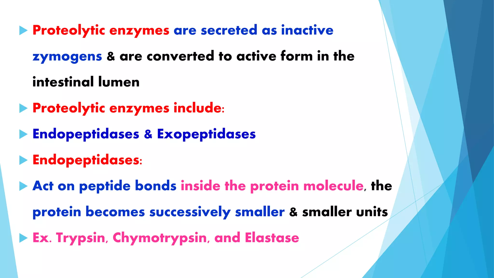  Proteolytic enzymes are secreted as inactive 
zymogens & are converted to active form in the 
intestinal lumen 
 Proteolytic enzymes include: 
 Endopeptidases & Exopeptidases 
 Endopeptidases: 
 Act on peptide bonds inside the protein molecule, the 
protein becomes successively smaller & smaller units 
 Ex. Trypsin, Chymotrypsin, and Elastase 
 