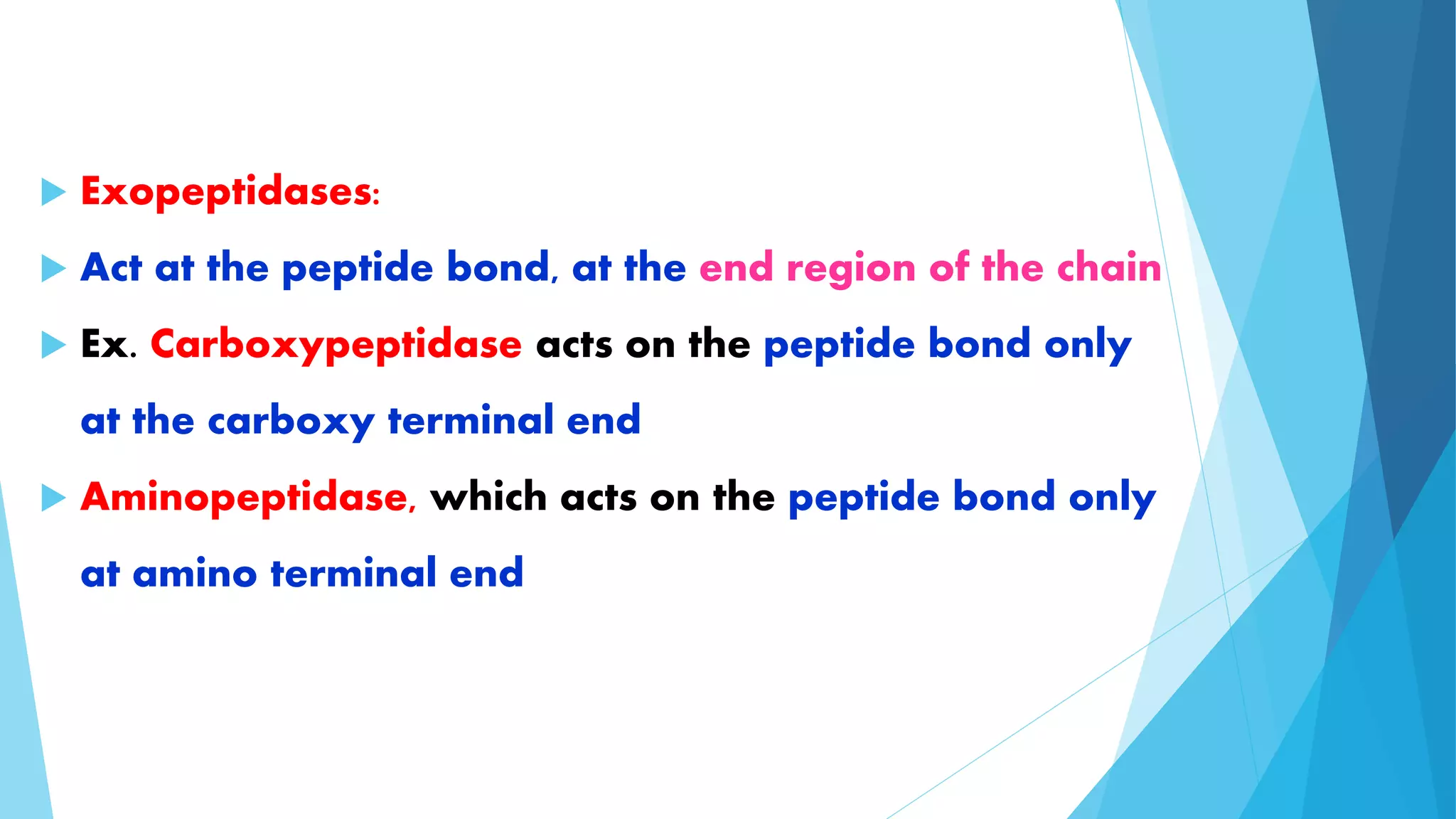  Exopeptidases: 
 Act at the peptide bond, at the end region of the chain 
 Ex. Carboxypeptidase acts on the peptide bond only 
at the carboxy terminal end 
 Aminopeptidase, which acts on the peptide bond only 
at amino terminal end 
 