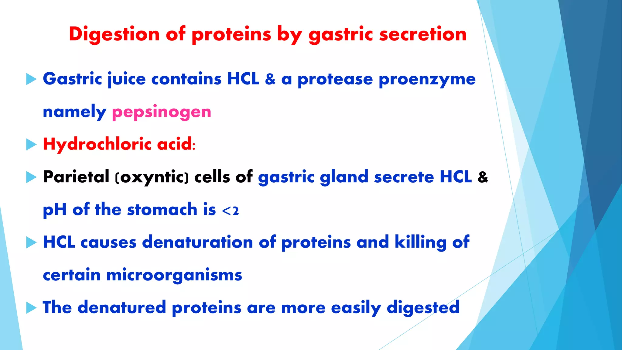 Digestion of proteins by gastric secretion 
 Gastric juice contains HCL & a protease proenzyme 
namely pepsinogen 
 Hydrochloric acid: 
 Parietal (oxyntic) cells of gastric gland secrete HCL & 
pH of the stomach is <2 
 HCL causes denaturation of proteins and killing of 
certain microorganisms 
 The denatured proteins are more easily digested 
 