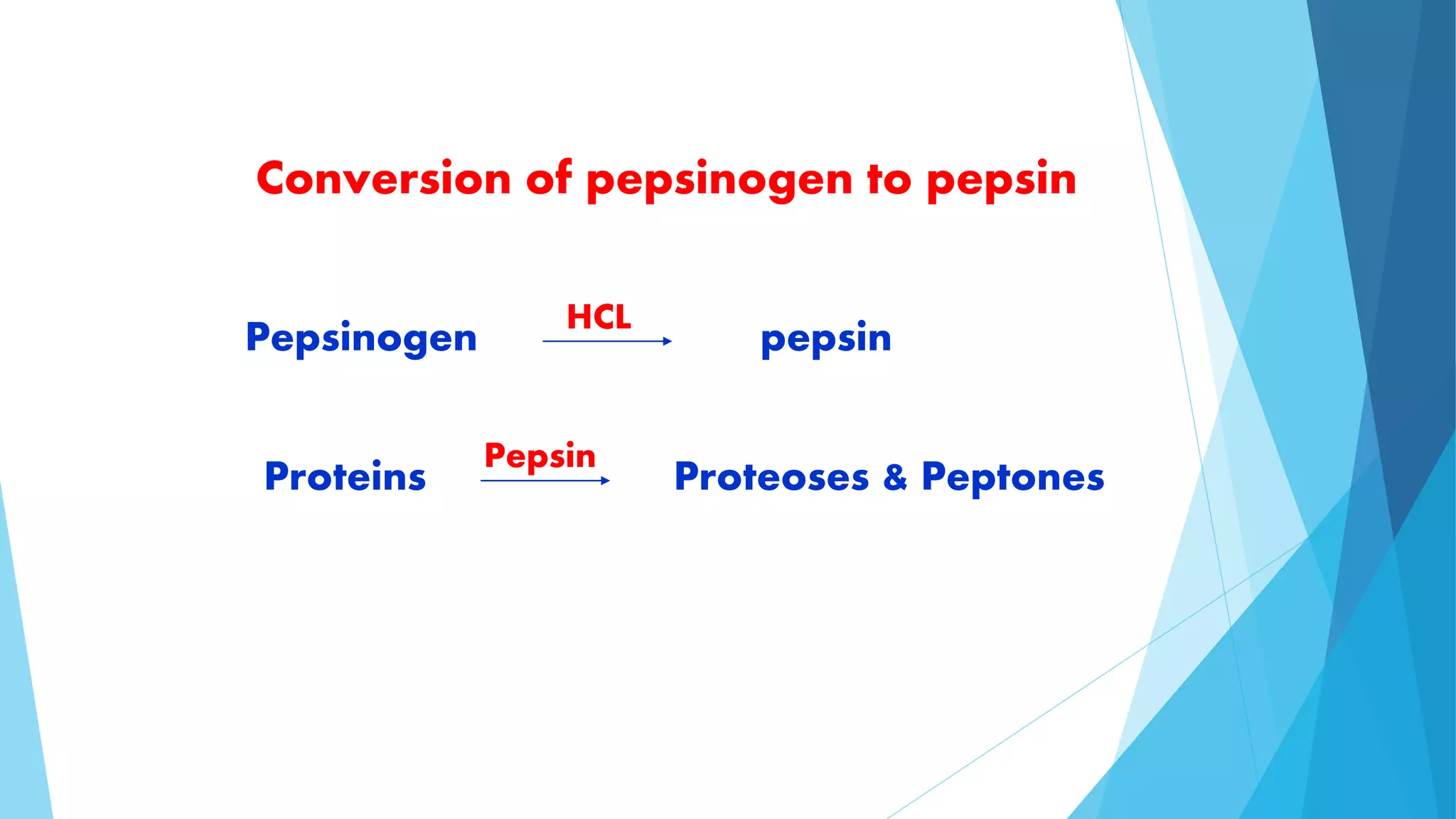 Conversion of pepsinogen to pepsin 
HCL 
Pepsinogen pepsin 
Pepsin 
Proteins Proteoses & Peptones 
 