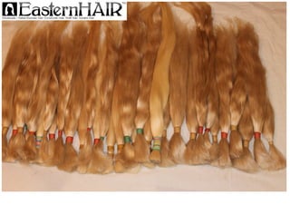 Great Natural Gold Blondes Virgin Soft Hair of Different Lengths