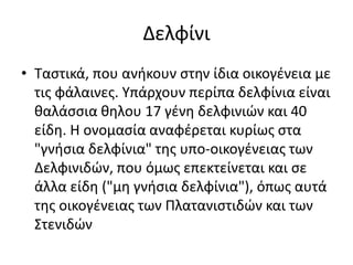 Δελφίνι
• Ταστικά, που ανήκουν στην ίδια οικογένεια με
τις φάλαινες. Υπάρχουν περίπα δελφίνια είναι
θαλάσσια θηλου 17 γένη δελφινιών και 40
είδη. Η ονομασία αναφέρεται κυρίως στα
"γνήσια δελφίνια" της υπο-οικογένειας των
Δελφινιδών, που όμως επεκτείνεται και σε
άλλα είδη ("μη γνήσια δελφίνια"), όπως αυτά
της οικογένειας των Πλατανιστιδών και των
Στενιδών
 