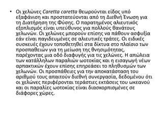 • Οι χελώνες Caretta caretta θεωρούνται είδος υπό
εξαφάνιση και προστατεύονται από τη Διεθνή Ένωση για
τη Διατήρηση της Φύσης. Ο παρατημένος αλιευτικός
εξοπλισμός είναι υπεύθυνος για πολλούς θανάτους
χελωνών. Οι χελώνες μπορούν επίσης να πάθουν ασφυξία
εάν είναι παγιδευμένες σε αλιευτικές τράτες. Οι ειδικές
συσκευές έχουν τοποθετηθεί στα δίκτυα στο πλαίσιο των
προσπαθειών για τη μείωση της θνησιμότητας,
παρέχοντας μια οδό διαφυγής για τις χελώνες. Η απώλεια
των κατάλληλων παραλιών ωοτοκίας και η εισαγωγή νέων
αρπακτικών έχουν επίσης επηρεάσει το πληθυσμών των
χελωνών. Οι προσπάθειες για την αποκατάσταση του
αριθμού τους απαιτούν διεθνή συνεργασία, δεδομένου ότι
οι χελώνες περιφέρονται τεράστιες εκτάσεις του ωκεανού
και οι παραλίες ωοτοκίας είναι διασκορπισμένες σε
διάφορες χώρες.
 