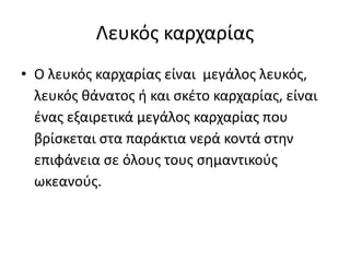 Λευκός καρχαρίας
• Ο λευκός καρχαρίας είναι μεγάλος λευκός,
λευκός θάνατος ή και σκέτο καρχαρίας, είναι
ένας εξαιρετικά μεγάλος καρχαρίας που
βρίσκεται στα παράκτια νερά κοντά στην
επιφάνεια σε όλους τους σημαντικούς
ωκεανούς.
 
