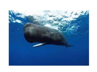 η γωνιά της θάλασσας 2