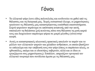 Γόνοι
• Το ελληνικό ψάρι έγινε είδος πολυτελείας και κινδυνεύει να χαθεί από τις
θάλασσες και τη διατροφή μας. Χωρίς ουσιαστικό έλεγχο, οι μηχανότρατες
οργώνουν τις θάλασσές μας καταστρέφοντας ευαίσθητα οικοσυστήματα.
Συχνά ψαρεύουν παράνομα σε απόσταση αναπνοής από την ακτή,
σπαταλούν τη θαλάσσια ζωή πετώντας πίσω στη θάλασσα τη μισή ψαριά
τους και διοχετεύουν παράνομα ψάρια σε μικρό μέγεθος (γόνο) στην
αγορά.
• Αυτές οι καταστροφικές αλιευτικές πρακτικές απειλούν το παρόν και το
μέλλον των ελληνικών ψαριών και χιλιάδων ανθρώπων, οι οποίοι βασίζουν
το επάγγελμα και την επιβίωσή τους στο ψάρι (όπως οι παράκτιοι αλιείς, οι
ιχθυοπώλες, ακόμα και οι ιδιοκτήτες ταβερνών, αλλά και οι ίδιοι οι
εργαζόμενοι στις μηχανότρατες). Επιπλέον, επηρεάζουν αρνητικά τον
ελληνικό τουρισμό που συνδέεται άμεσα με τις θάλασσές μας.
 