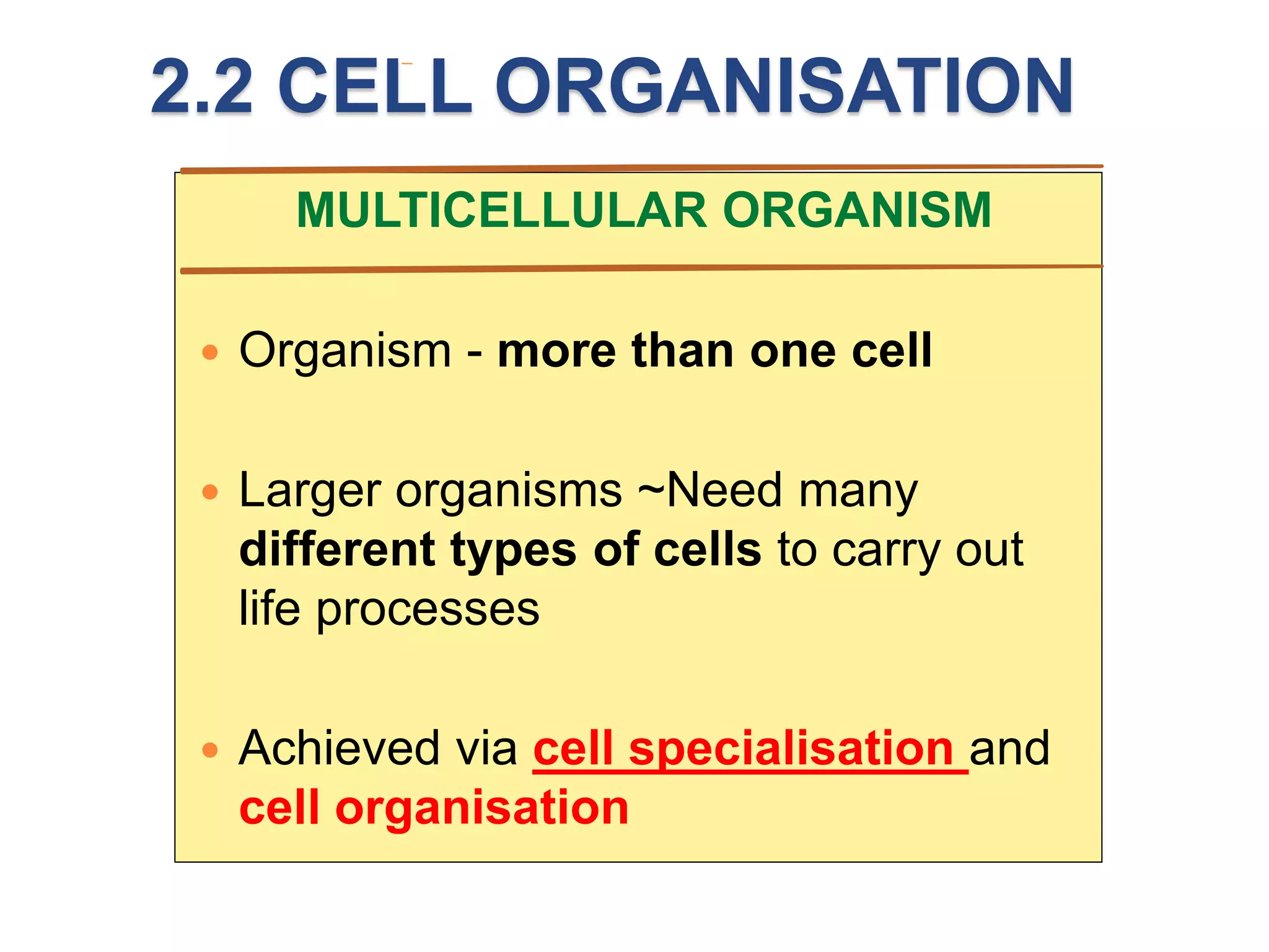 2.2 CELL ORGANISATION 
MULTICELLULAR ORGANISM 
 Organism - more than one cell 
 Larger organisms ~Need many 
different types of cells to carry out 
life processes 
 Achieved via cell specialisation and 
cell organisation 
 