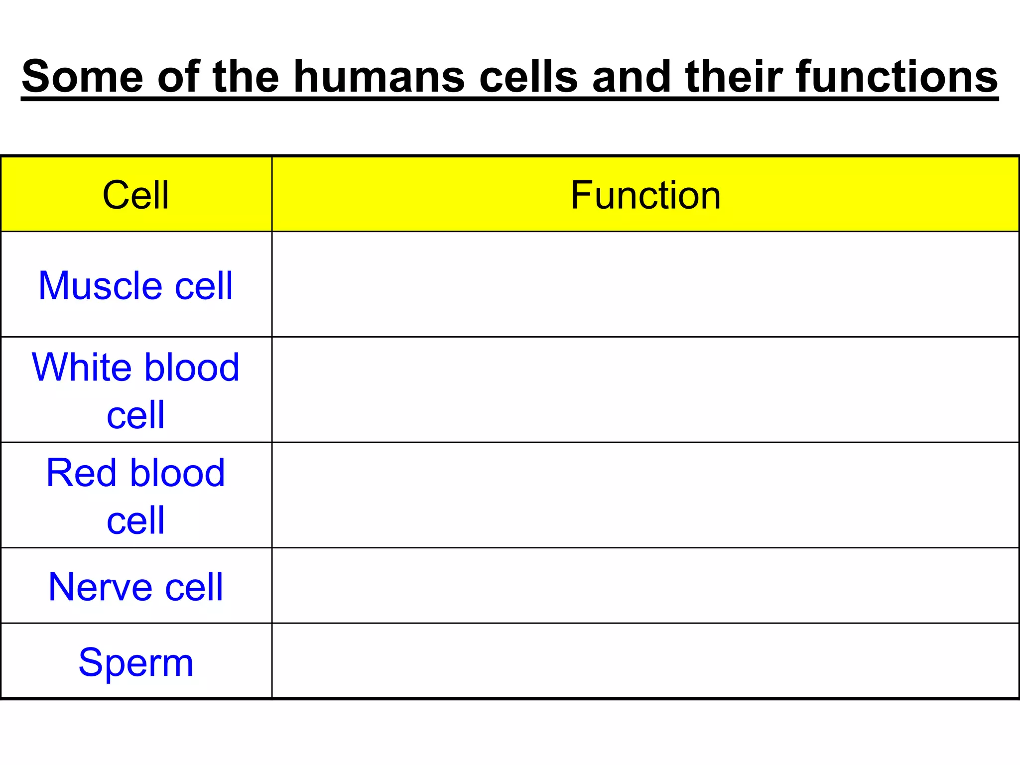 Some of the humans cells and their functions 
Cell Function 
Muscle cell 
Able to contract and relax and are 
involved in movement 
White blood 
cell 
Involved in defence of the body against 
diseases 
Red blood 
cell 
Transports oxygen 
Nerve cell Receives and sends out nerve impulses 
Sperm Fertilises the ovum 
 