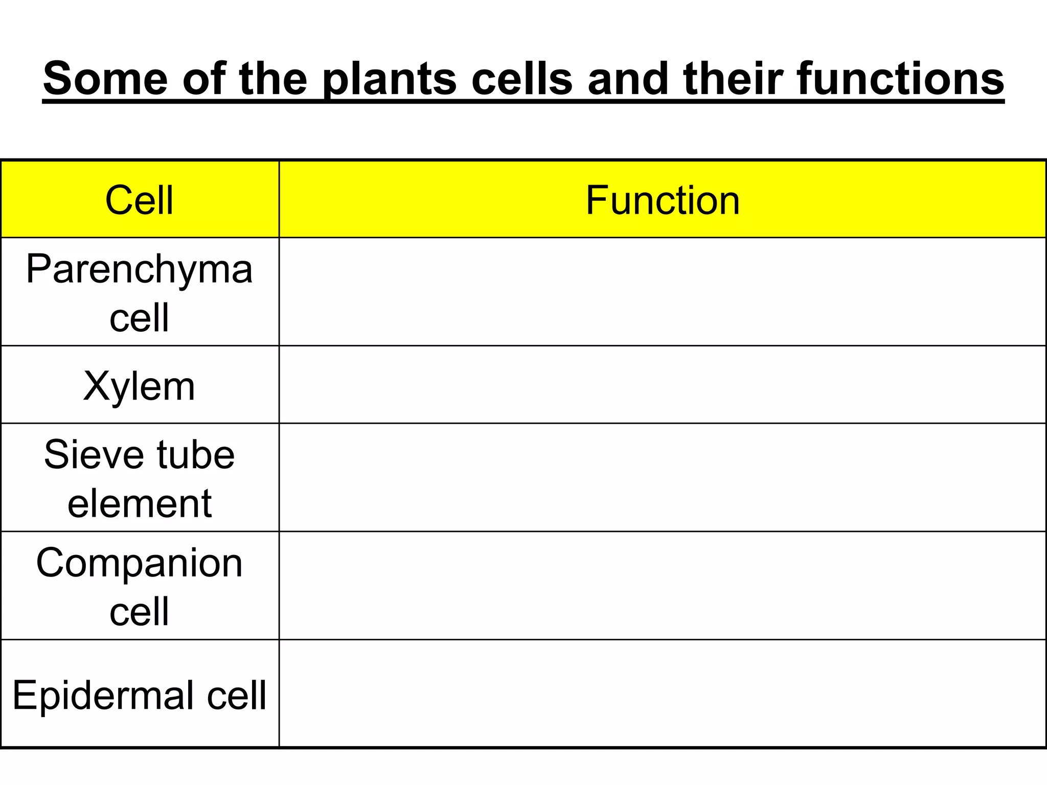 Some of the plants cells and their functions 
Cell Function 
Parenchyma 
cell 
For support and storage 
Xylem Transports water and mineral salts 
Sieve tube 
element 
Transports organic product of 
photosynthesis 
Companion 
cell 
Regulates the metabolic activity of sieve 
tube element 
Epidermal cell 
For protection and covering of other cells 
beneath 
 