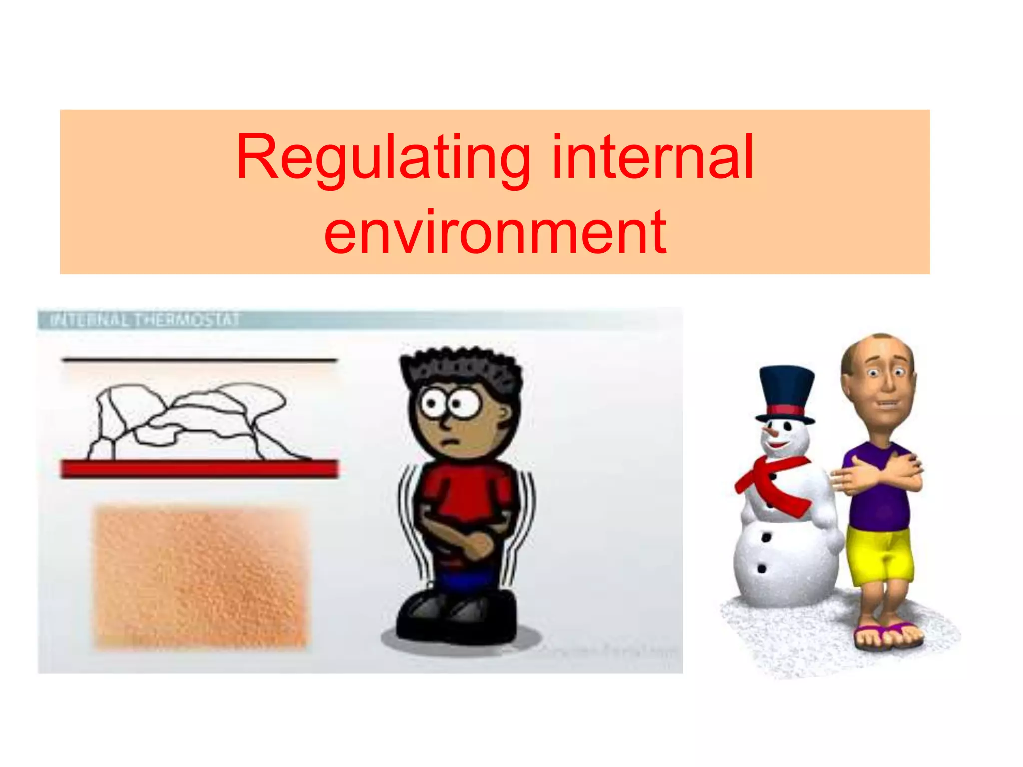 Regulating internal 
environment 
 