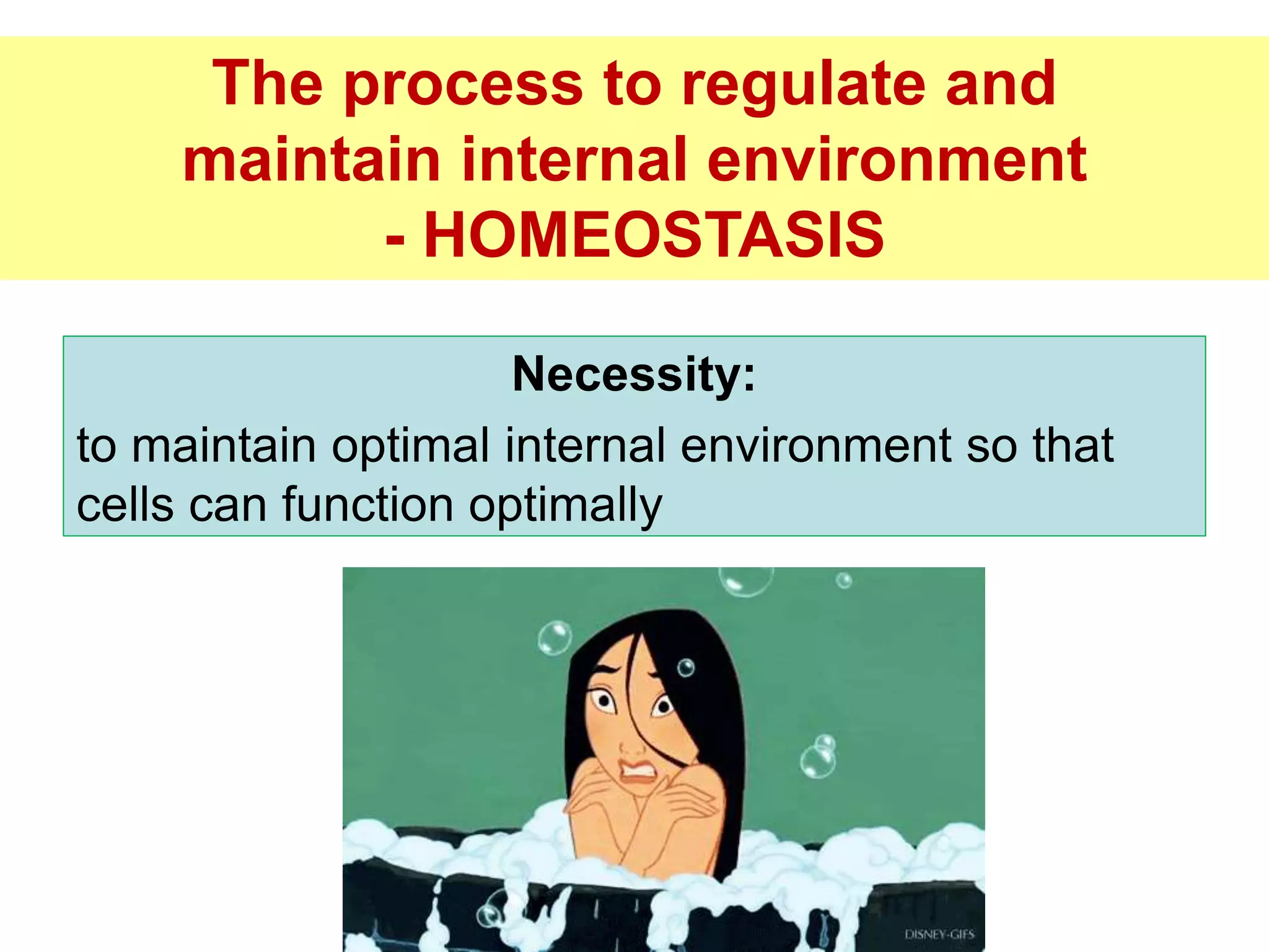 The process to regulate and 
maintain internal environment 
- HOMEOSTASIS 
Necessity: 
to maintain optimal internal environment so that 
cells can function optimally 
 