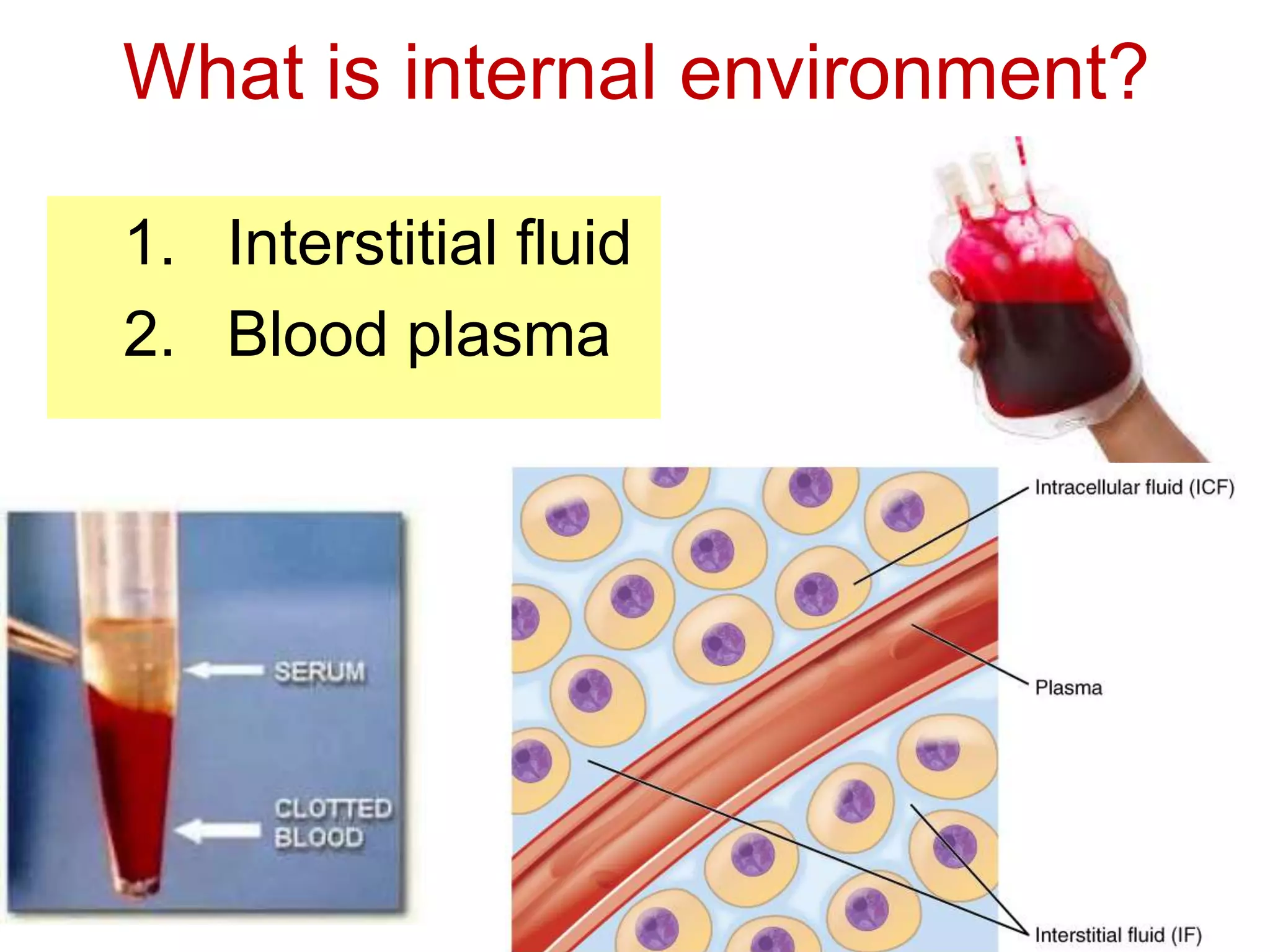 What is internal environment? 
1. Interstitial fluid 
2. Blood plasma 
 