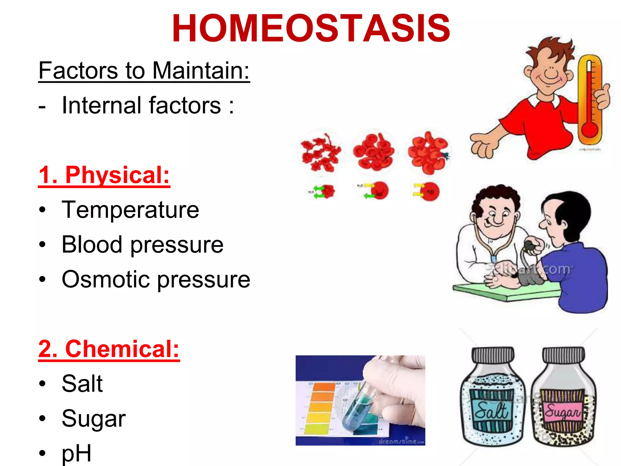 HOMEOSTASIS 
Factors to Maintain: 
- Internal factors : 
1. Physical: 
• Temperature 
• Blood pressure 
• Osmotic pressure 
2. Chemical: 
• Salt 
• Sugar 
• pH 
 