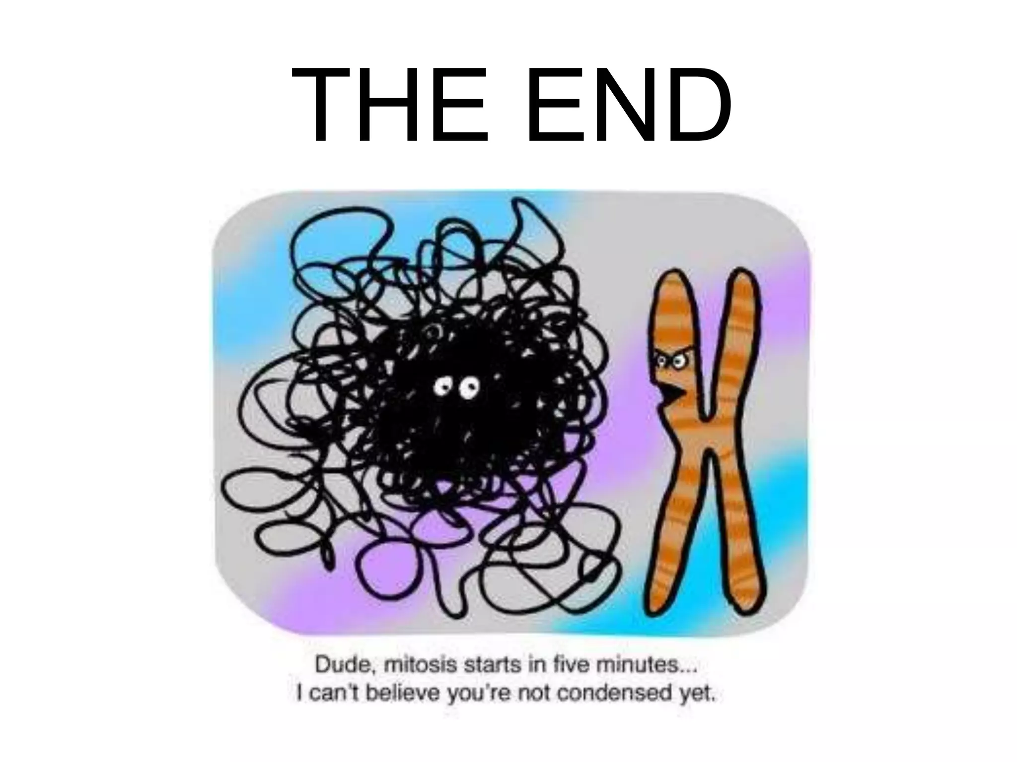 THE END 
 