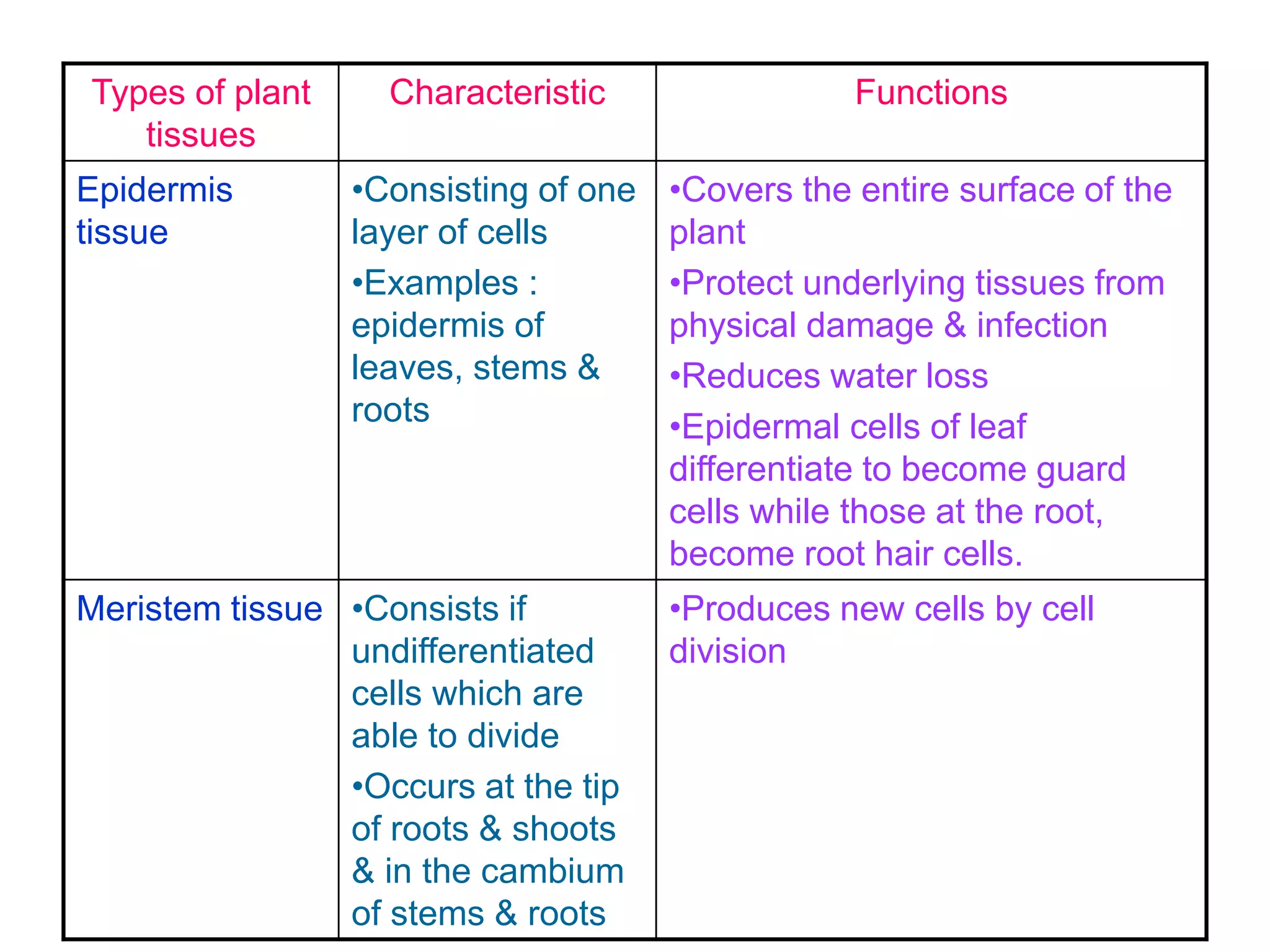 Types of plant 
tissues 
Characteristic Functions 
Epidermis 
tissue 
•Consisting of one 
layer of cells 
•Examples : 
epidermis of 
leaves, stems & 
roots 
•Covers the entire surface of the 
plant 
•Protect underlying tissues from 
physical damage & infection 
•Reduces water loss 
•Epidermal cells of leaf 
differentiate to become guard 
cells while those at the root, 
become root hair cells. 
Meristem tissue •Consists if 
undifferentiated 
cells which are 
able to divide 
•Occurs at the tip 
of roots & shoots 
& in the cambium 
of stems & roots 
•Produces new cells by cell 
division 
 