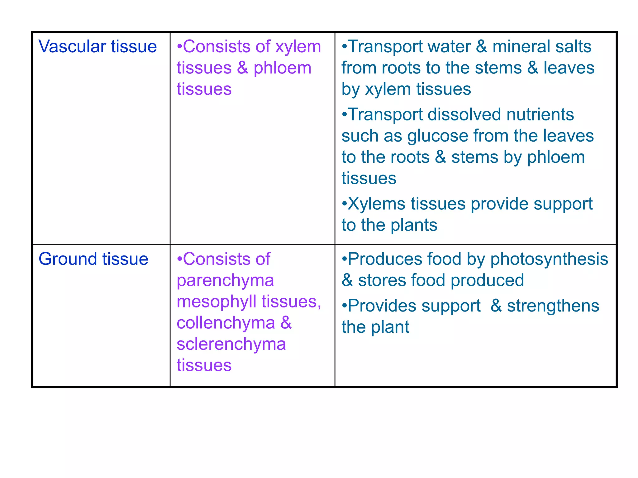 Vascular tissue •Consists of xylem 
tissues & phloem 
tissues 
•Transport water & mineral salts 
from roots to the stems & leaves 
by xylem tissues 
•Transport dissolved nutrients 
such as glucose from the leaves 
to the roots & stems by phloem 
tissues 
•Xylems tissues provide support 
to the plants 
Ground tissue •Consists of 
parenchyma 
mesophyll tissues, 
collenchyma & 
sclerenchyma 
tissues 
•Produces food by photosynthesis 
& stores food produced 
•Provides support & strengthens 
the plant 
