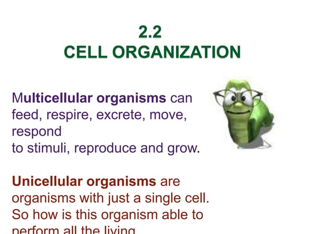BIOLOGY FORM 4 CHAPTER 2 PART 2 - CELL ORGANIZATION | PPTX | Biological ...