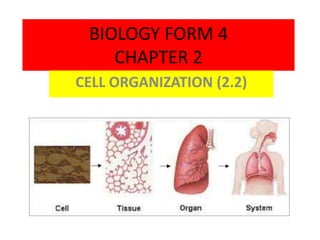 BIOLOGY FORM 4 
CHAPTER 2 
CELL ORGANIZATION (2.2) 
 