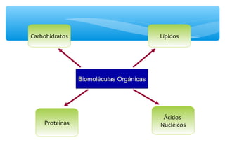 Biomoléculas Orgánicas 
Carbohidratos 
Proteínas 
Lípidos 
Ácidos 
Nucleicos 
 