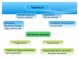 Vitamina D 
Necesaria para los 
huesos y dientes 
Encuentra: 
Bacterias, hongos, 
algas, plantas sup. 
Progesterona 
Prepara los órganos femeninos 
para la gestación 
Se produce: 
Piel de animales 
Irradiación del Ergosterol 
con luz solar 
Hormonas sexuales 
Testosterona 
Responsable de los caracteres 
Sexuales masculinos 
 