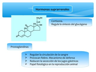 Hormonas suprarrenales 
Cortisona. 
Regula la síntesis del glucógeno 
Prostaglandinas 
 Regulan la circulación de la sangre 
 Provocan fiebre. Mecanismo de defensa 
 Reducen la secección de los jugos gástricos 
 Papel fisiológico en la reproducción animal 
 