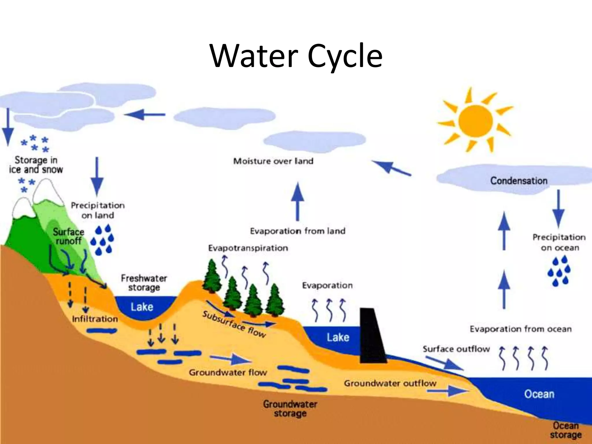 Water Cycle 
 