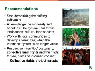 Shifting cultivation and forest landscapes in the Amazon