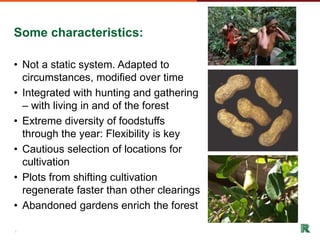 Shifting cultivation and forest landscapes in the Amazon