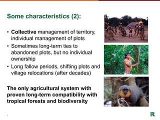 Shifting cultivation and forest landscapes in the Amazon