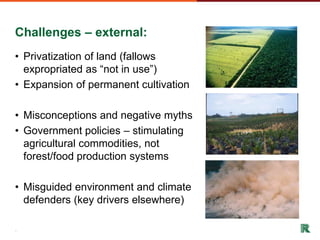 Shifting cultivation and forest landscapes in the Amazon