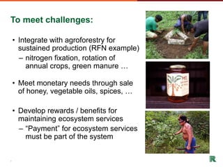 Shifting cultivation and forest landscapes in the Amazon