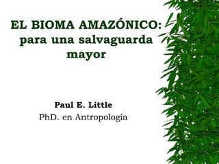 EL BIOMA AMAZÓNICO: 
para una salvaguarda 
mayor 
Paul E. Little 
PhD. en Antropología 
 